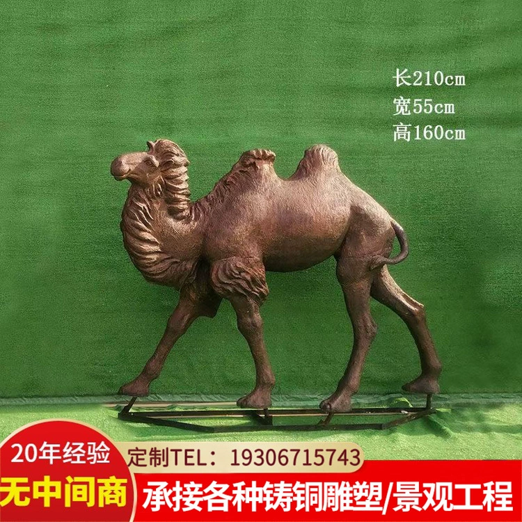 赞美骆驼词语字句大全_赞美骆驼的成语_赞美骆驼的四字词语
