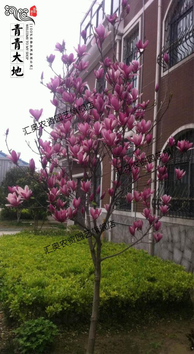 缘分测试姓名_姓名缘分占卜_姓名缘分测试神秘的卜卦网