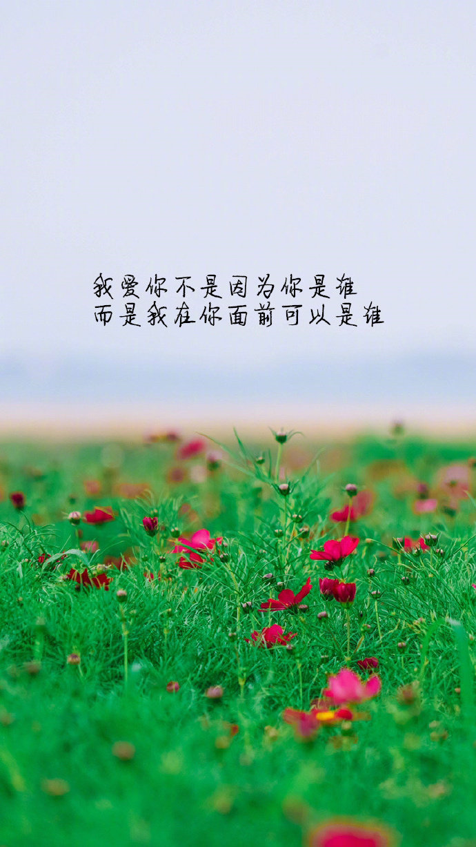 白首分离的意思_l白首不分离_白首不分离怎么写