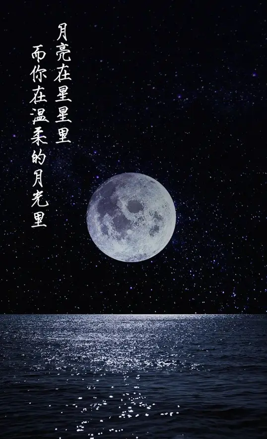 花庆次修罗攻略_庆花名字的寓意_花之庆次777