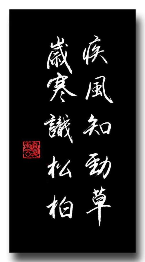 庆花名字的寓意_花之庆次777_花庆次修罗攻略