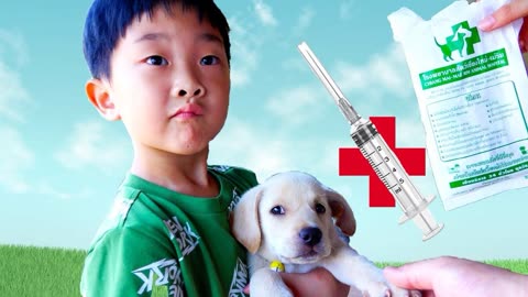 梦见给狗打针什么预兆_梦见给狗打针什么意思_梦见给狗打针