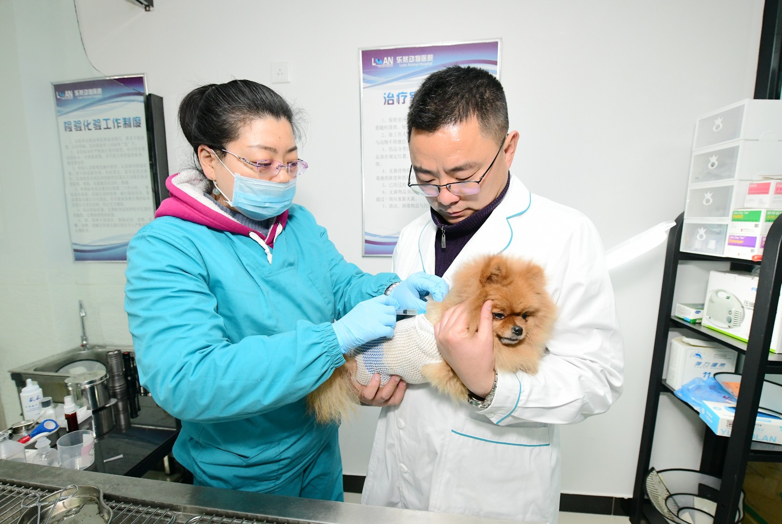 梦见给狗打针什么预兆_梦见给狗打针什么意思_梦见给狗打针