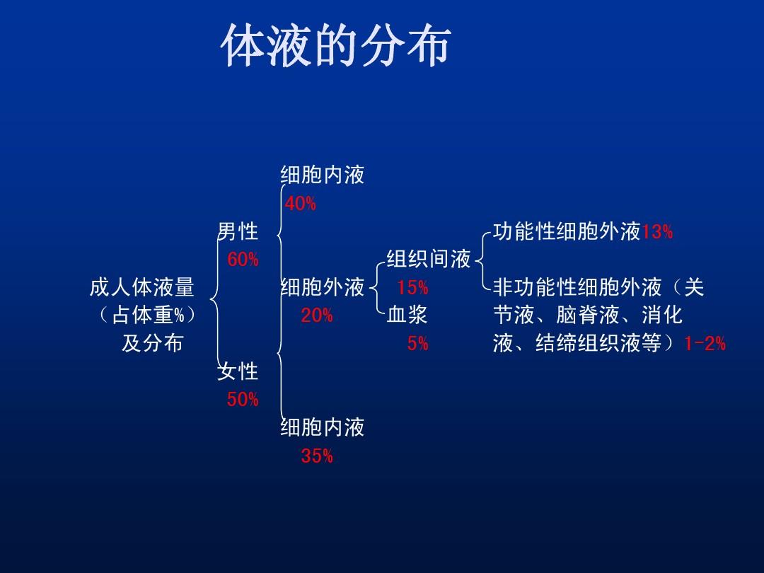 血浆组织液淋巴蛋白质-血浆、组织液和淋巴：身体里的超级英雄，