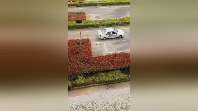 视频侧方位停车_侧方停车视频教程_停车侧方停车视频教程