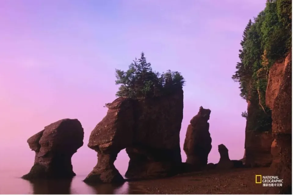 海山老几出熔岩爪子_熔岩之爪特效_熔岩爪牙