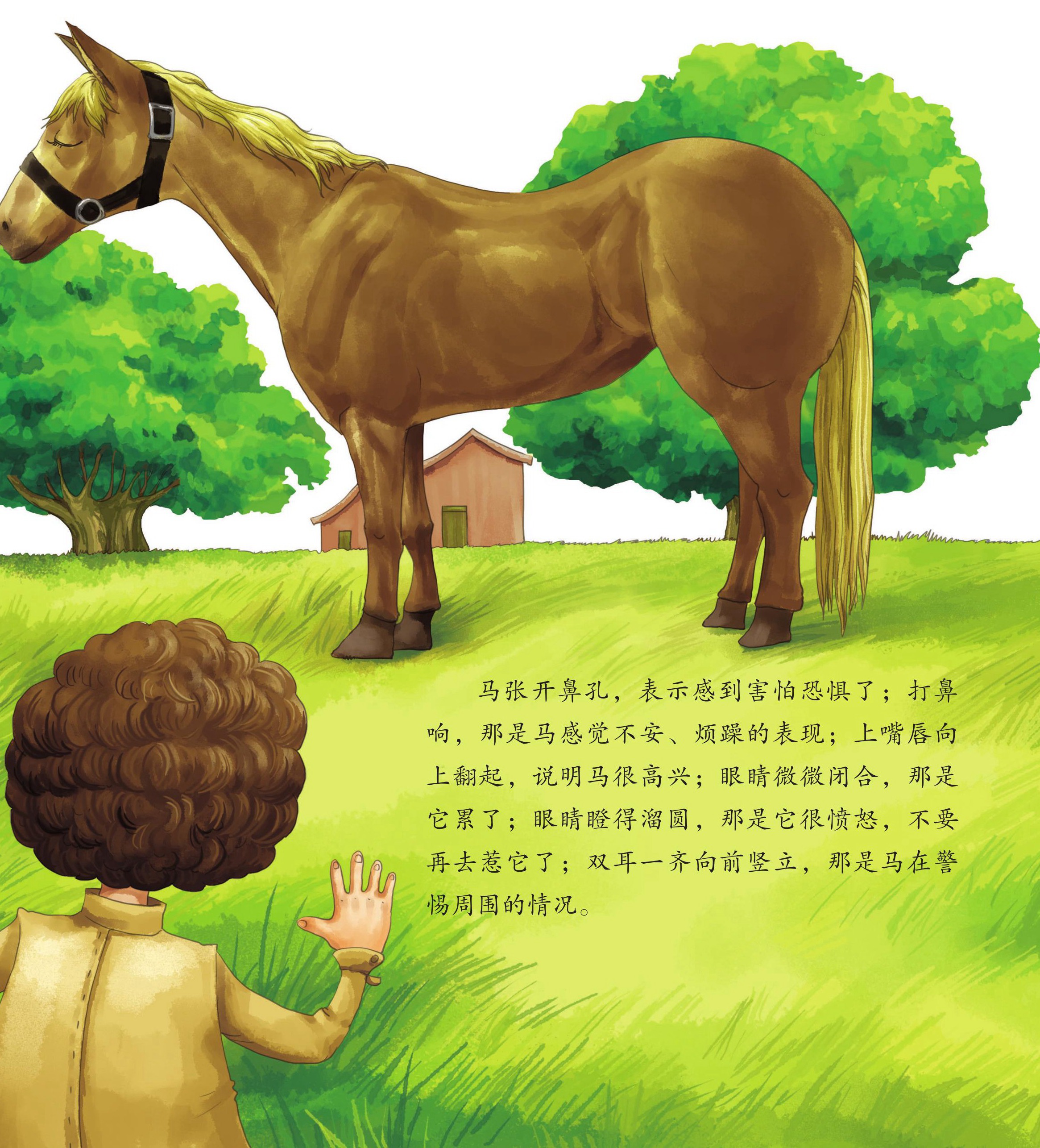 幼儿语言看图说话教案_幼小看图说话教案_看图讲话教案