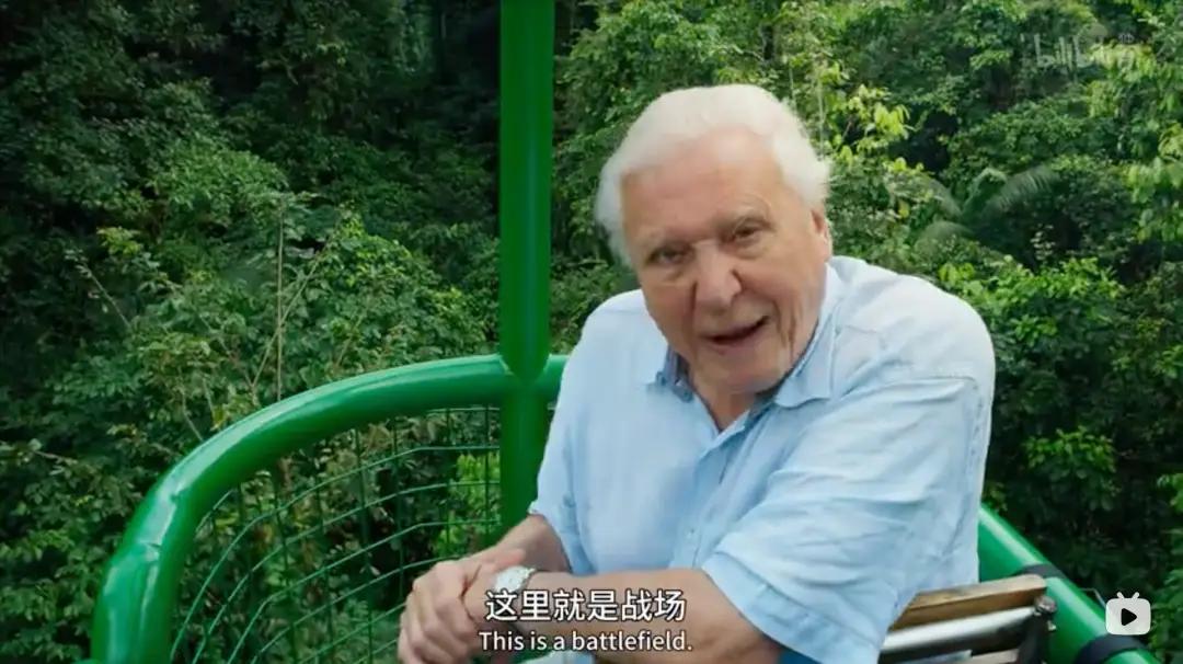 杀戮一代在线西瓜观看_灭绝杀戮 在线观看_电影杀戮