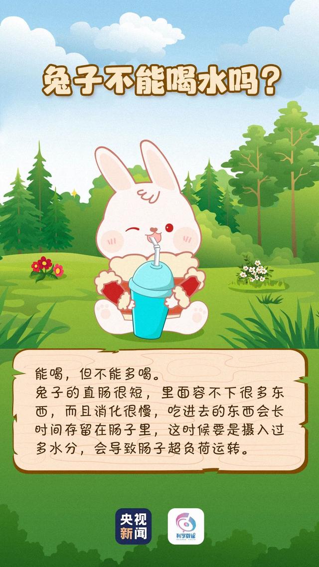 兔子耳朵凉要用什么药_兔耳朵凉是生病吗_天气冷兔子耳朵凉