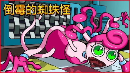 蜘蛛牌在线游戏_蜘蛛牌游戏官方免费_蜘蛛牌游戏有什么技巧