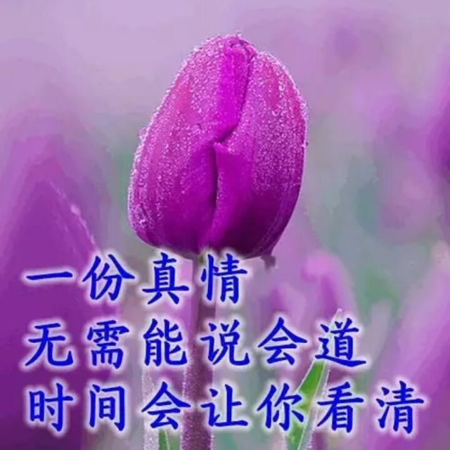 唱吧三国还在运营吗_新版唱吧游戏中心入口_唱吧三国开服时间
