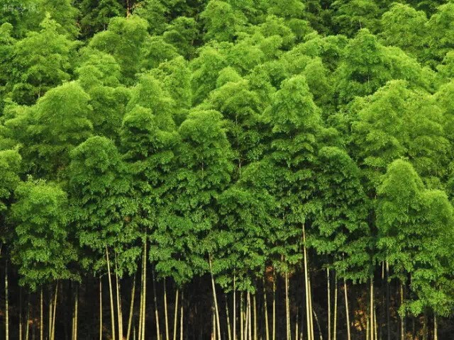 全息网游之苦力微盘_网游之悠闲打酱油微盘_网游之我不配 微盘