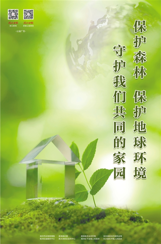 乱砍森林写话_森林说话_森林的话