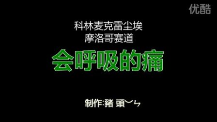尘埃中文版下载自带摇杆_尘埃2中文版_尘埃1中文