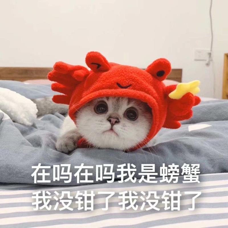 dnf好感度最高-DNF 地下城与勇士：我与它的情深似海，难