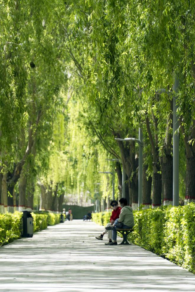 佛山市发廊最多的街_佛山禅城发廊妹_佛山发廊最多的地方