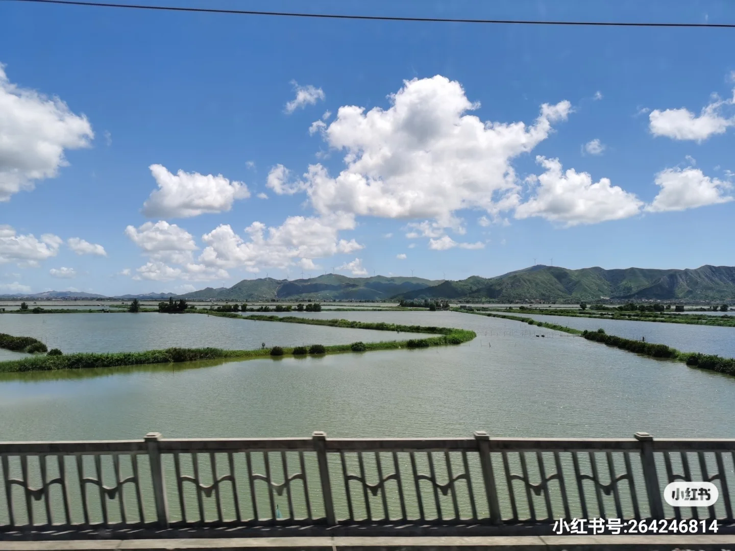 y518列车时刻表-Y518 列车：生活的节奏器，带你领略沿途的美好风景