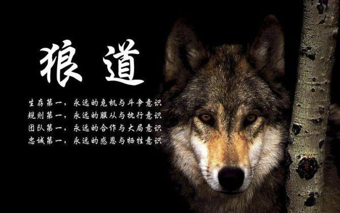 跨种族转回原门派_垮种族转回原门派_跨种族转门派转回去