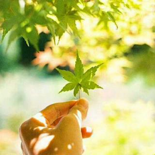 忧思u966 换屏_忧思u966 换屏_忧思u966 换屏