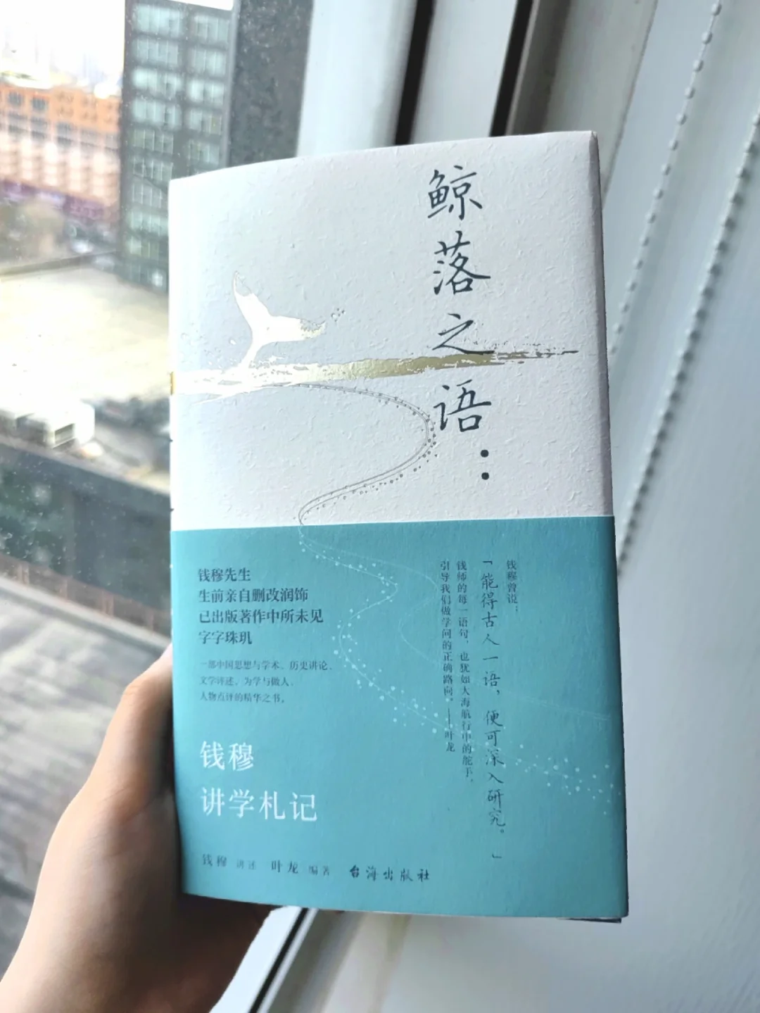 希利苏斯蝎子：沙漠中的幽灵，危险与迷人的生命奇迹