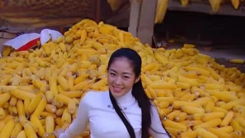 播放乡村爱情视频_给我播放一个乡村爱情的电视剧_乡村爱情9下费播放