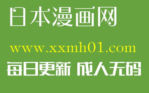 彩漫堂,二次元文化的魅力与传播