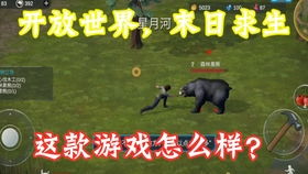 野生动物丛林法则 
