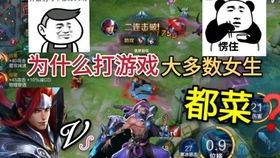 只是游乐场 