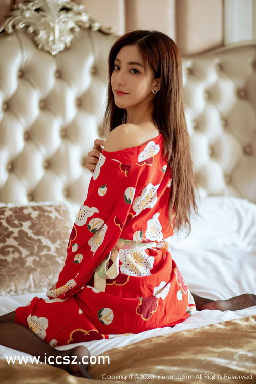  *** 衣服游戏iOS版 