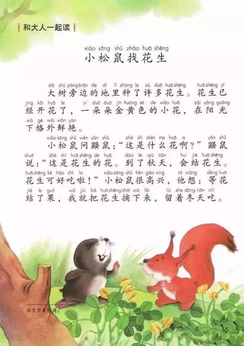 注意力记忆力训练 