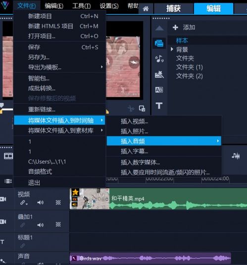 河豚视频剪辑 