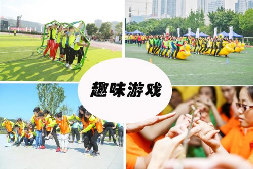 智慧团建软件官方下载 