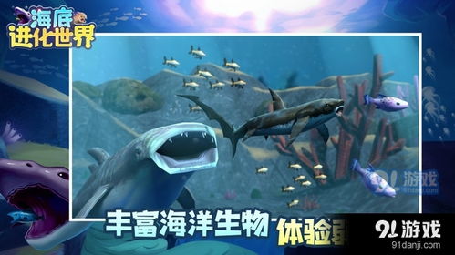 大海里的朋友v1.21 
