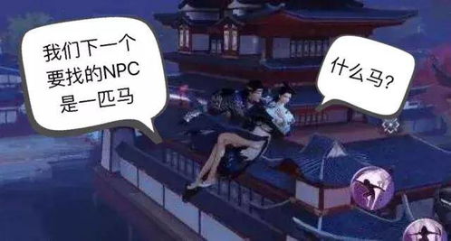 相爱相杀的情侣 