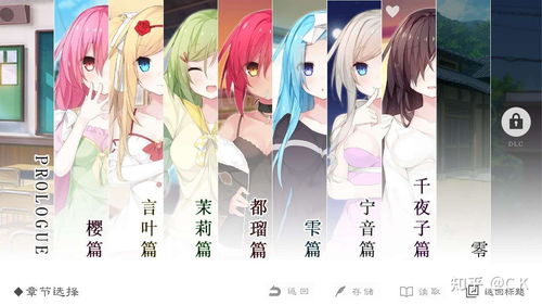 窈窕淑女官方版 