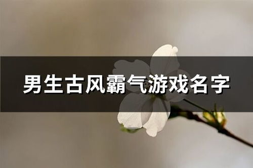 王者空白昵称 