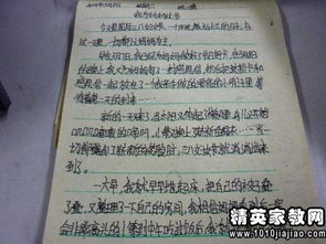 高考知识点总结 