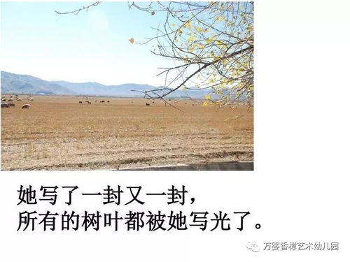 风和日历免费完整版 