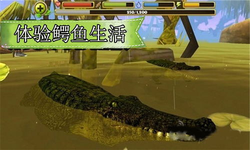 这条鱼的一生 