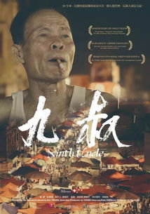 九叔爱游戏,探寻九叔的虚拟世界之旅