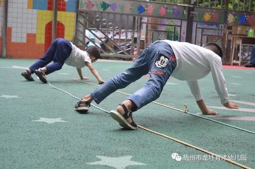 体能游戏爬行,爬行运动乐趣与成长之旅