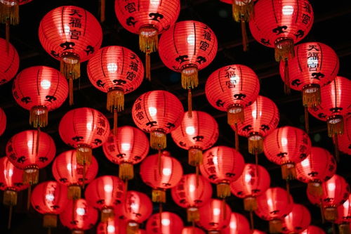 新年游戏目标,培养幼儿自信、乐观、大方品质的欢乐之旅”