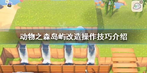 美国zoom动物游戏最新版 