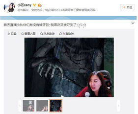直播恐怖小游戏,挑战你的胆量极限