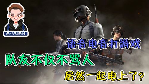 打游戏队友,我的游戏成长之旅