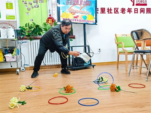 客厅套圈游戏,客厅套圈游戏乐趣无限
