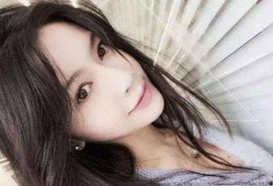 杨颖小游戏大全,杨颖明星生活趣味游戏集锦