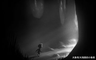 黑白加游戏,智慧较量
