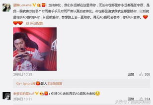 老帅玩游戏,跨越游戏世界的传奇之旅