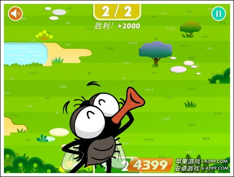 苍蝇翅膀游戏,探索奇幻世界的飞行之旅